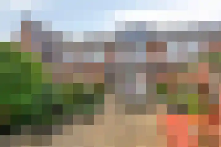 Raperbeek 102 Barneveld thumbnail 28