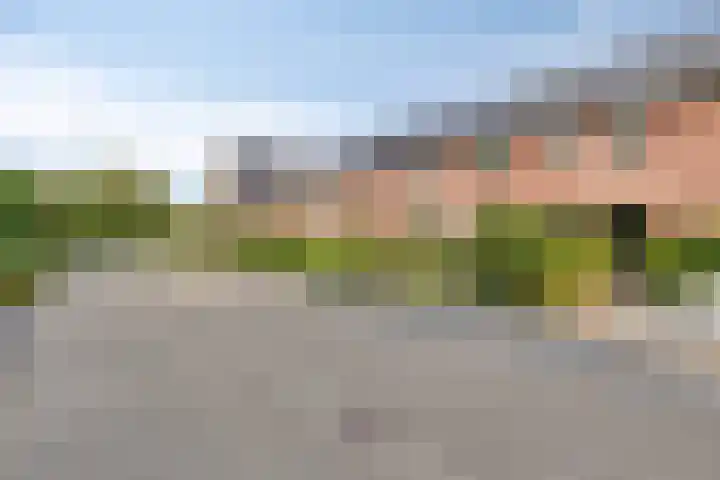 Raperbeek 102 Barneveld thumbnail 31