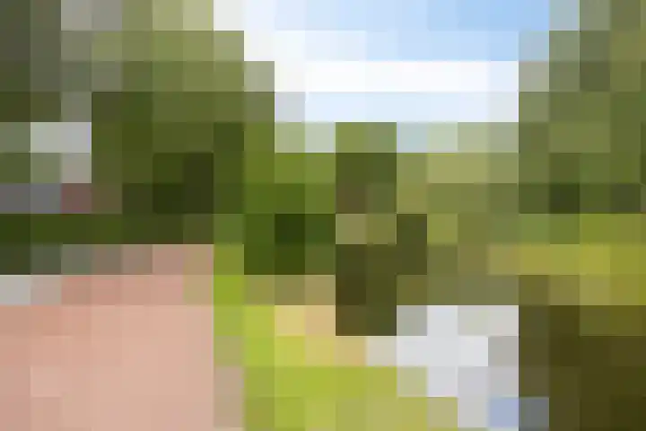 Raperbeek 102 Barneveld thumbnail 32