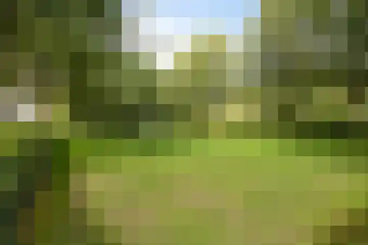 Raperbeek 102 Barneveld thumbnail 33