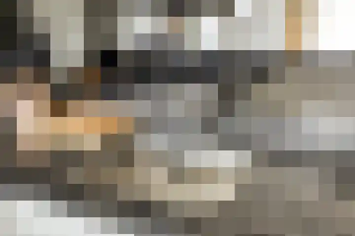 Rapportstraat 12 C Veldhoven thumbnail 11