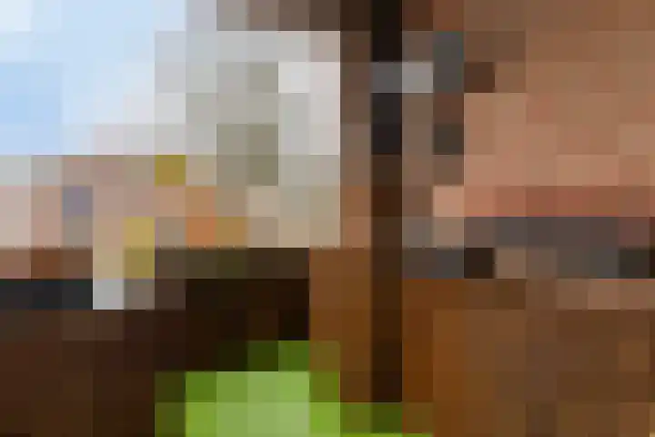 Rapportstraat 12 C Veldhoven thumbnail 12