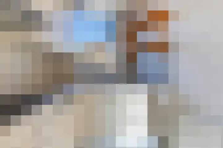 Ratelaar 3 Reeuwijk thumbnail 15