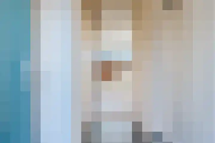 Ratelaar 3 Reeuwijk thumbnail 6