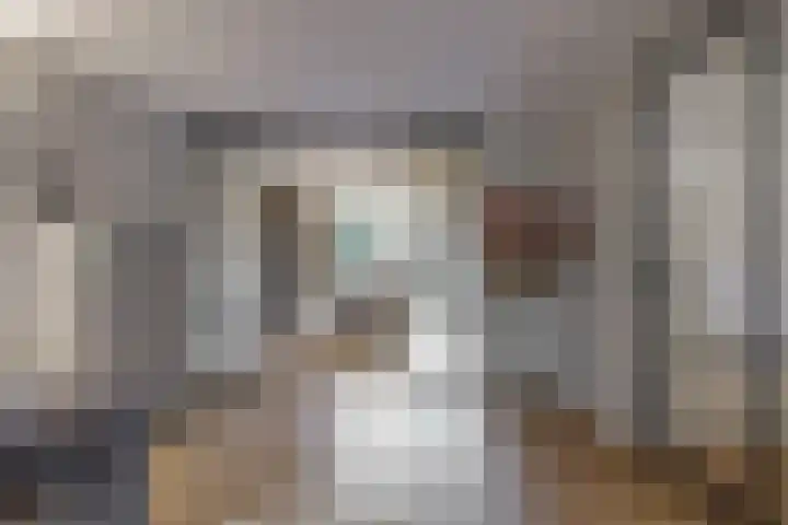 Ratelaar 6 Limmen thumbnail 10