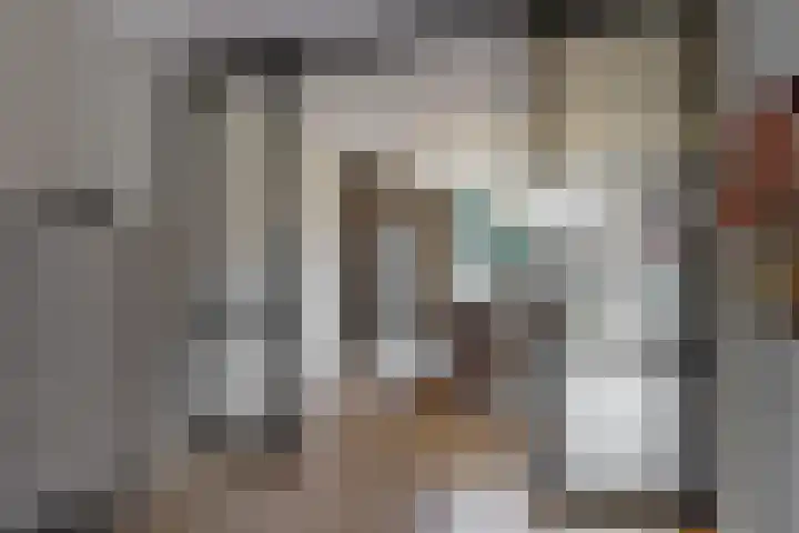 Ratelaar 6 Limmen thumbnail 11