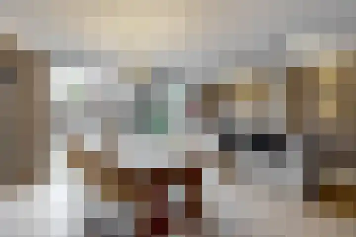 Ratelaar 6 Limmen thumbnail 12