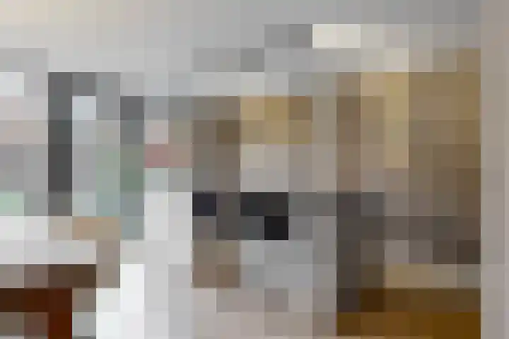Ratelaar 6 Limmen thumbnail 13