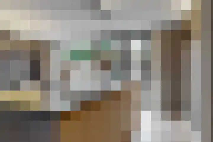 Ratelaar 6 Limmen thumbnail 14