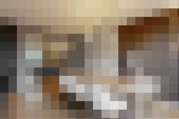 Ratelaar 6 Limmen thumbnail 16