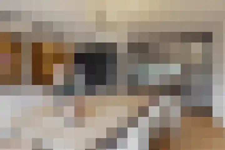 Ratelaar 6 Limmen thumbnail 17