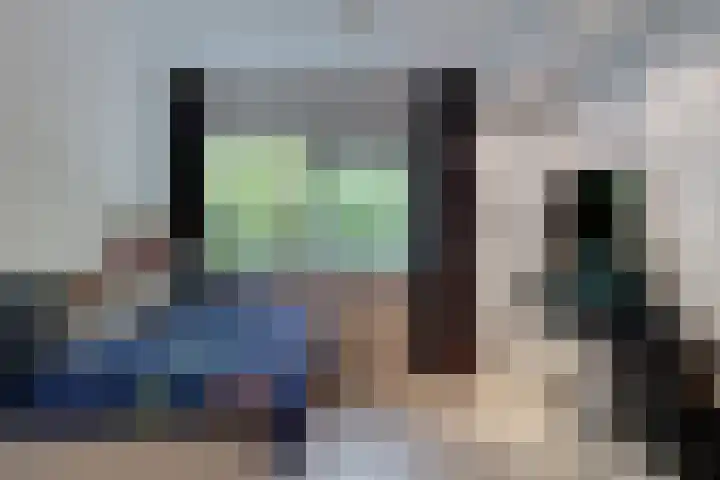 Ratelaar 6 Limmen thumbnail 22