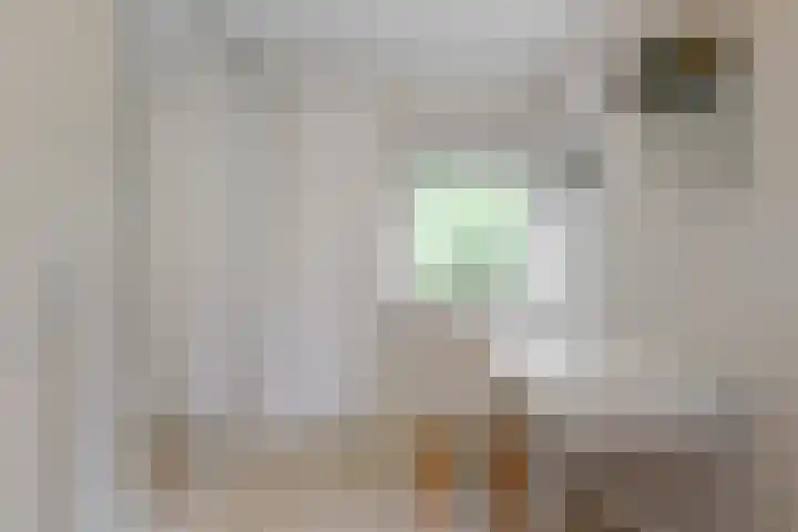 Ratelaar 6 Limmen thumbnail 24