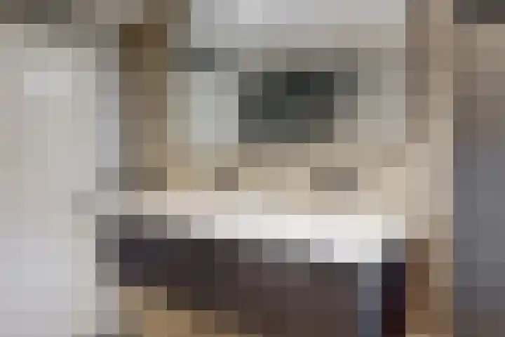 Ratelaar 6 Limmen thumbnail 28