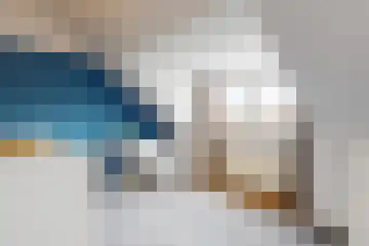 Ratelaar 6 Limmen thumbnail 31