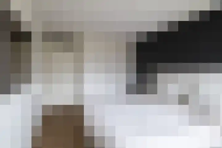 Ratelaar 6 Limmen thumbnail 32