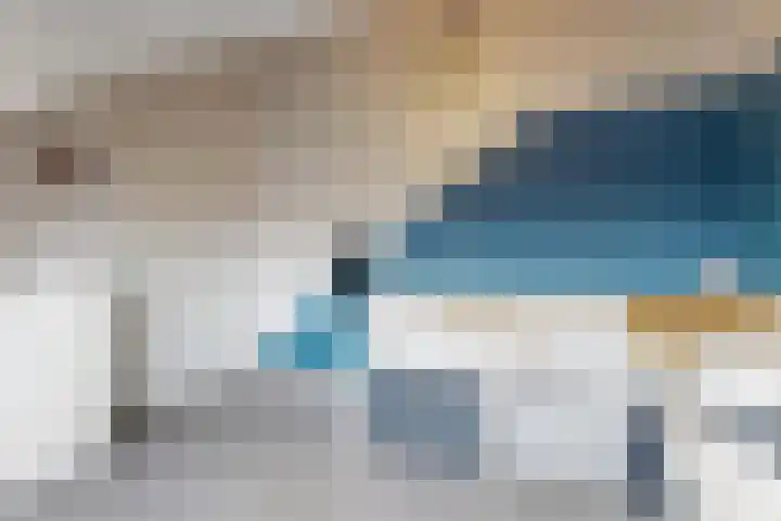 Ratelaar 6 Limmen thumbnail 32