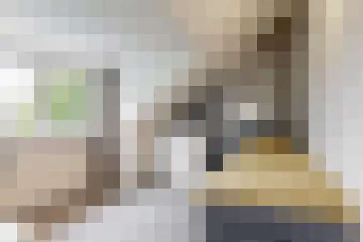 Ratelaar 6 Limmen thumbnail 34