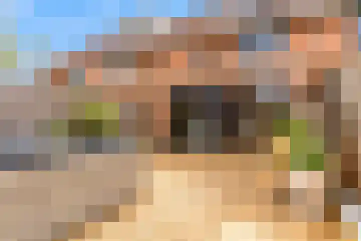 Ratelaar 6 Limmen thumbnail 37
