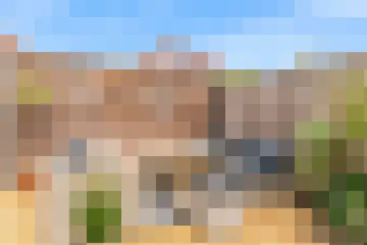 Ratelaar 6 Limmen thumbnail 38