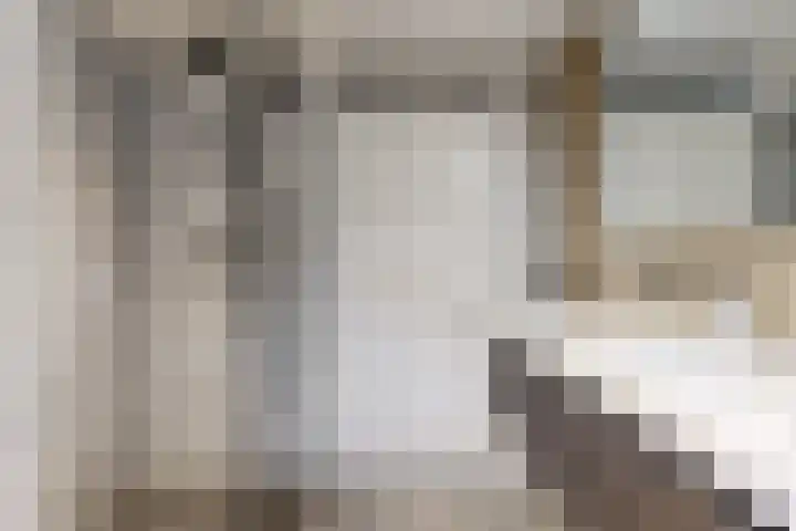 Ratelaar 6 Limmen thumbnail 4