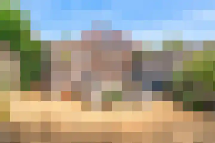 Ratelaar 6 Limmen thumbnail 41