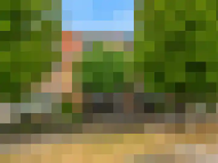 Ratelaar 6 Limmen thumbnail 43
