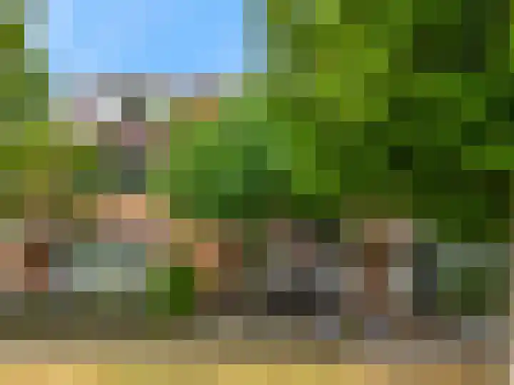 Ratelaar 6 Limmen thumbnail 44