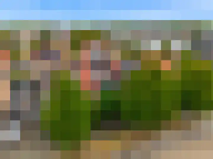 Ratelaar 6 Limmen thumbnail 45