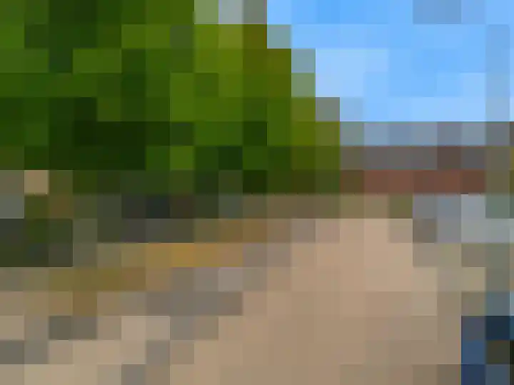 Ratelaar 6 Limmen thumbnail 47