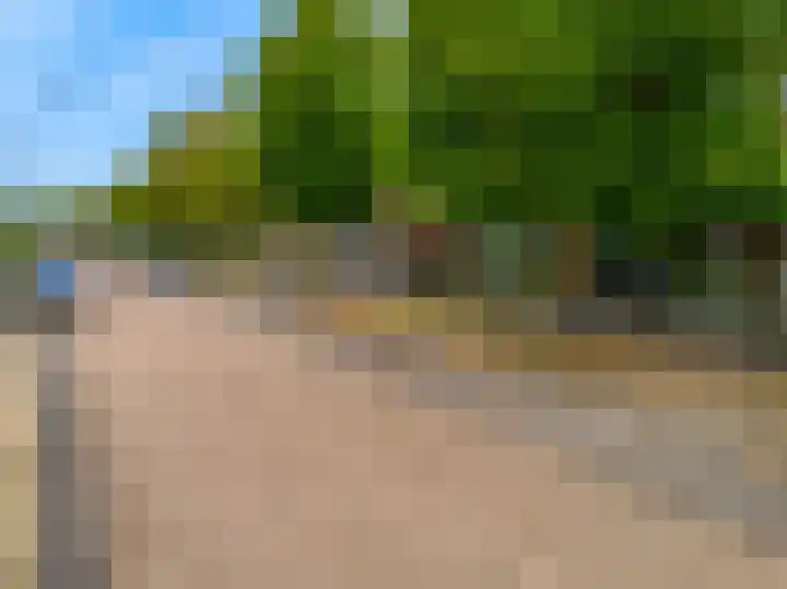 Ratelaar 6 Limmen thumbnail 48