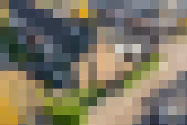 Ratelaar 6 Limmen thumbnail 8
