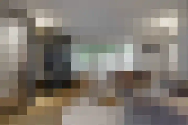 Ratelaar 6 Limmen thumbnail 8
