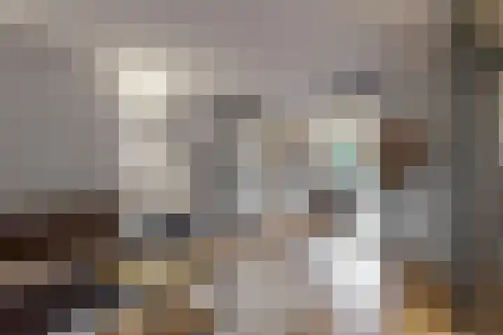 Ratelaar 6 Limmen thumbnail 9