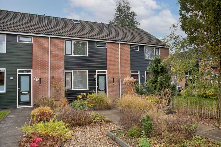 Rauwland 68 in Delden foto