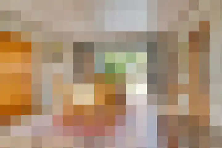 Ravellaan 18 Tilburg thumbnail 12