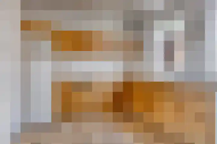 Ravellaan 18 Tilburg thumbnail 15