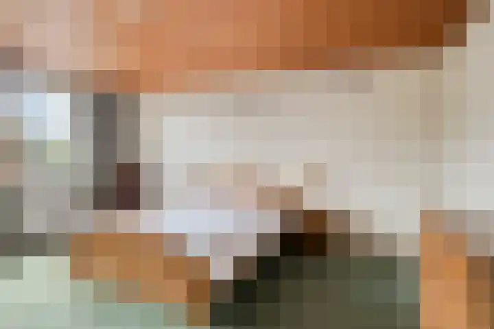 Ravellaan 18 Tilburg thumbnail 20