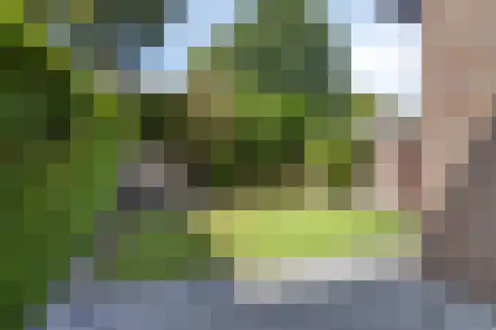 Ravellaan 18 Tilburg thumbnail 34
