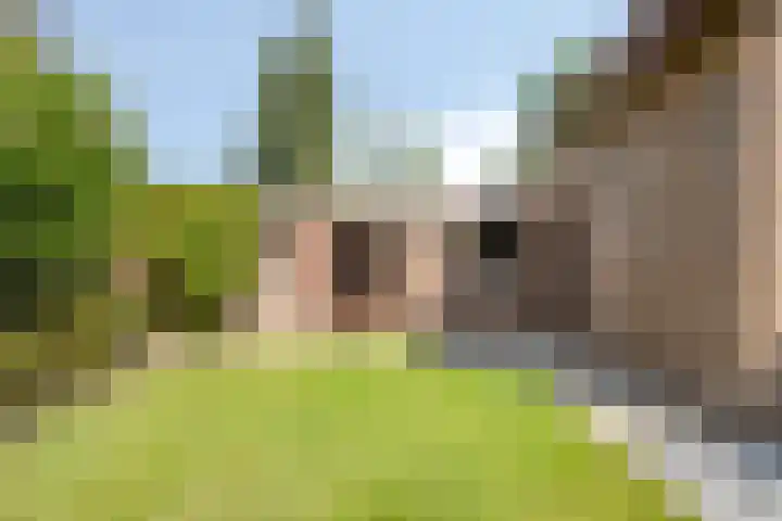 Ravellaan 18 Tilburg thumbnail 35