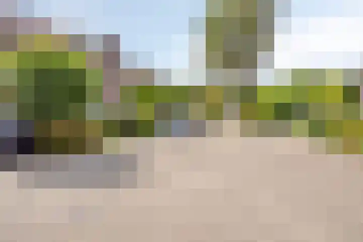 Ravellaan 18 Tilburg thumbnail 42