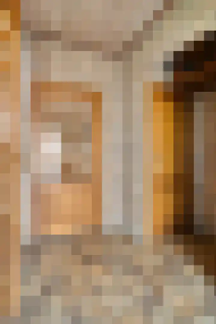 Ravellaan 18 Tilburg thumbnail 5