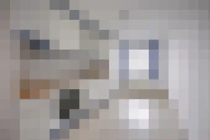 Ravellaan 252 Utrecht thumbnail 15