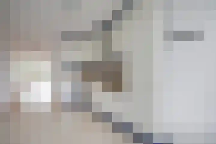 Ravellaan 252 Utrecht thumbnail 16