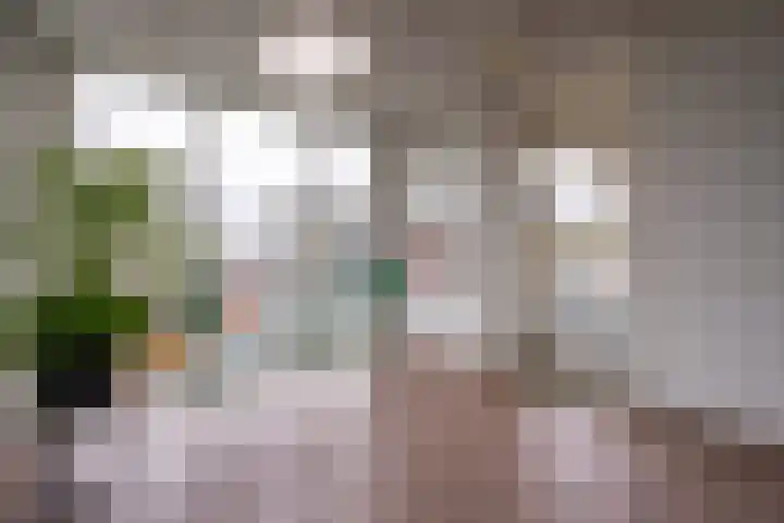 Ravellaan 252 Utrecht thumbnail 25