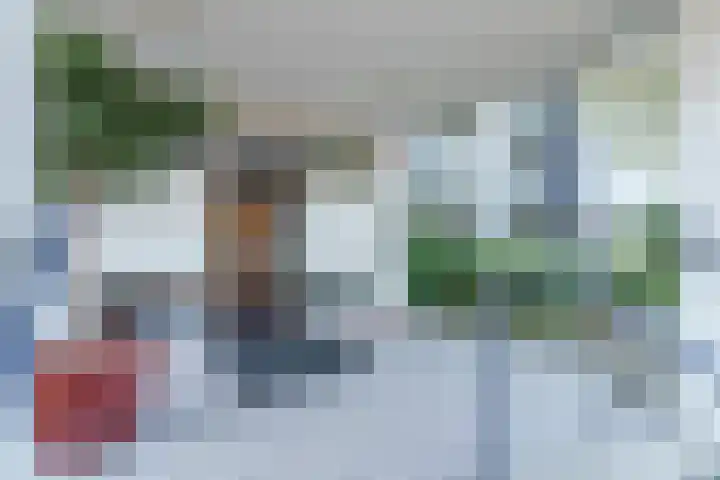 Ravellaan 252 Utrecht thumbnail 26