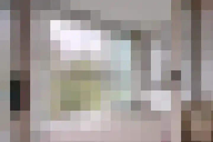 Ravellaan 252 Utrecht thumbnail 8