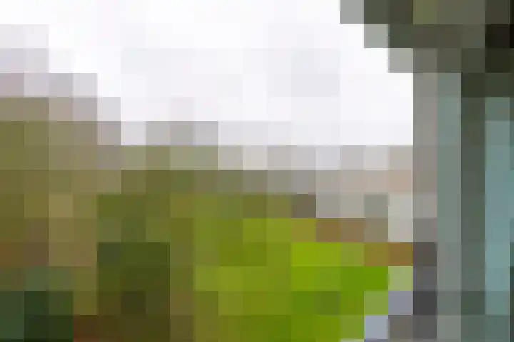 Ravellaan 252 Utrecht thumbnail 9
