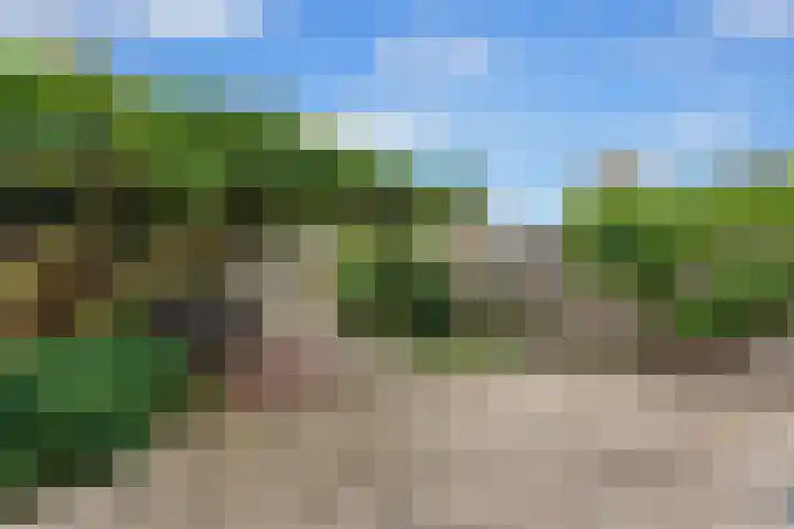 Ravelstraat 78 Ridderkerk thumbnail 28