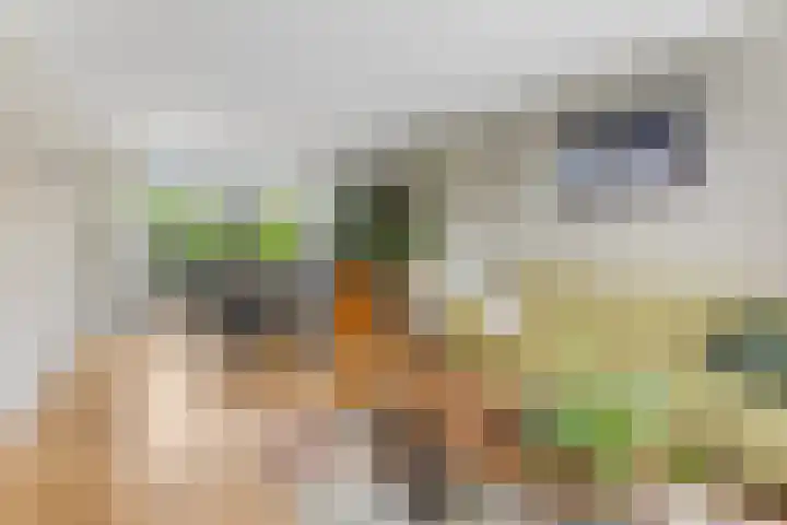Ravelstraat 78 Ridderkerk thumbnail 4